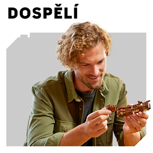 dlazdice_LEMI_Vek_2025_315 x 315_18